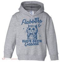 My Flabbers Have Been Gasted Distressed Retro Funny Cat Toddler Hoodie thumb 0