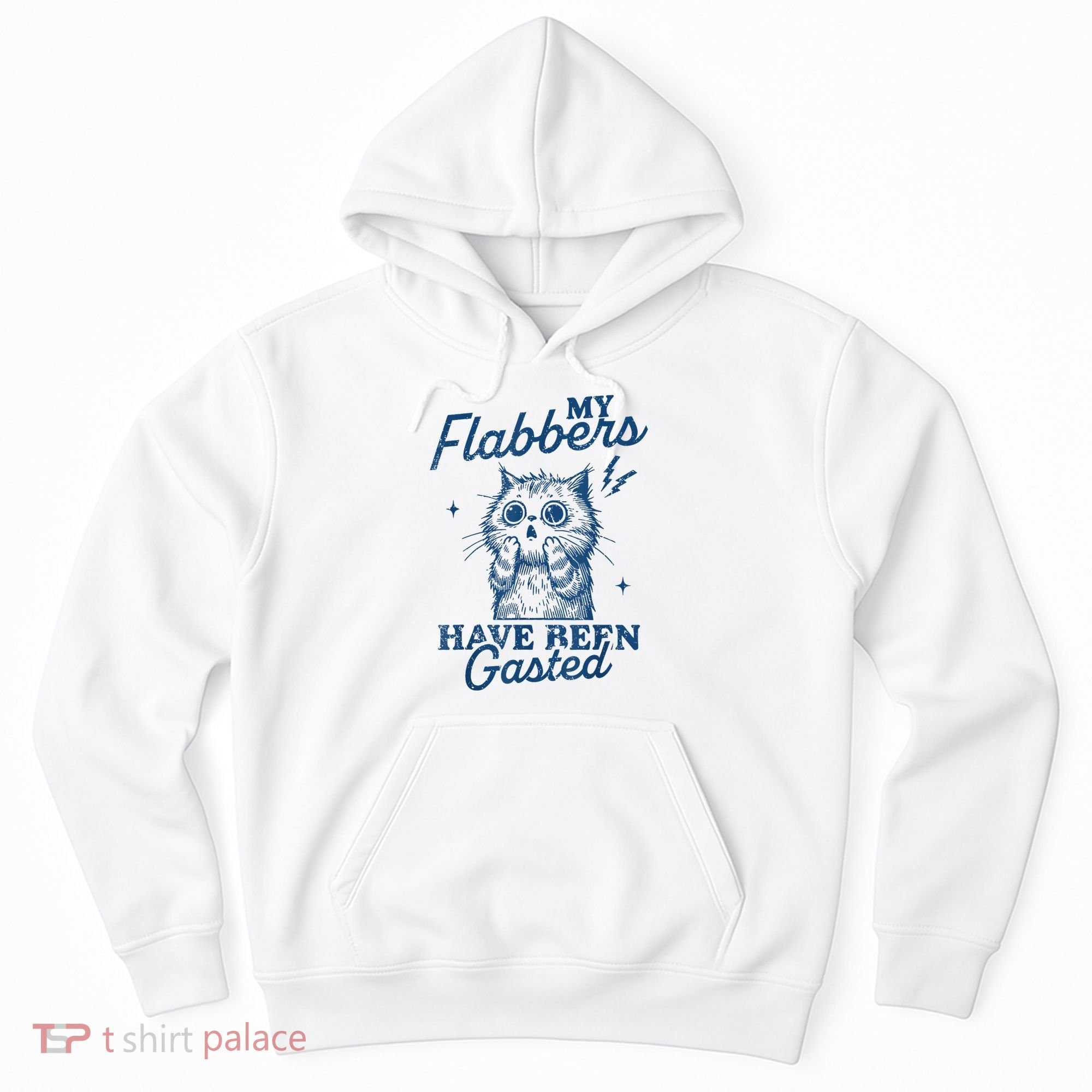 My Flabbers Have Been Gasted Distressed Retro Funny Cat Hoodie