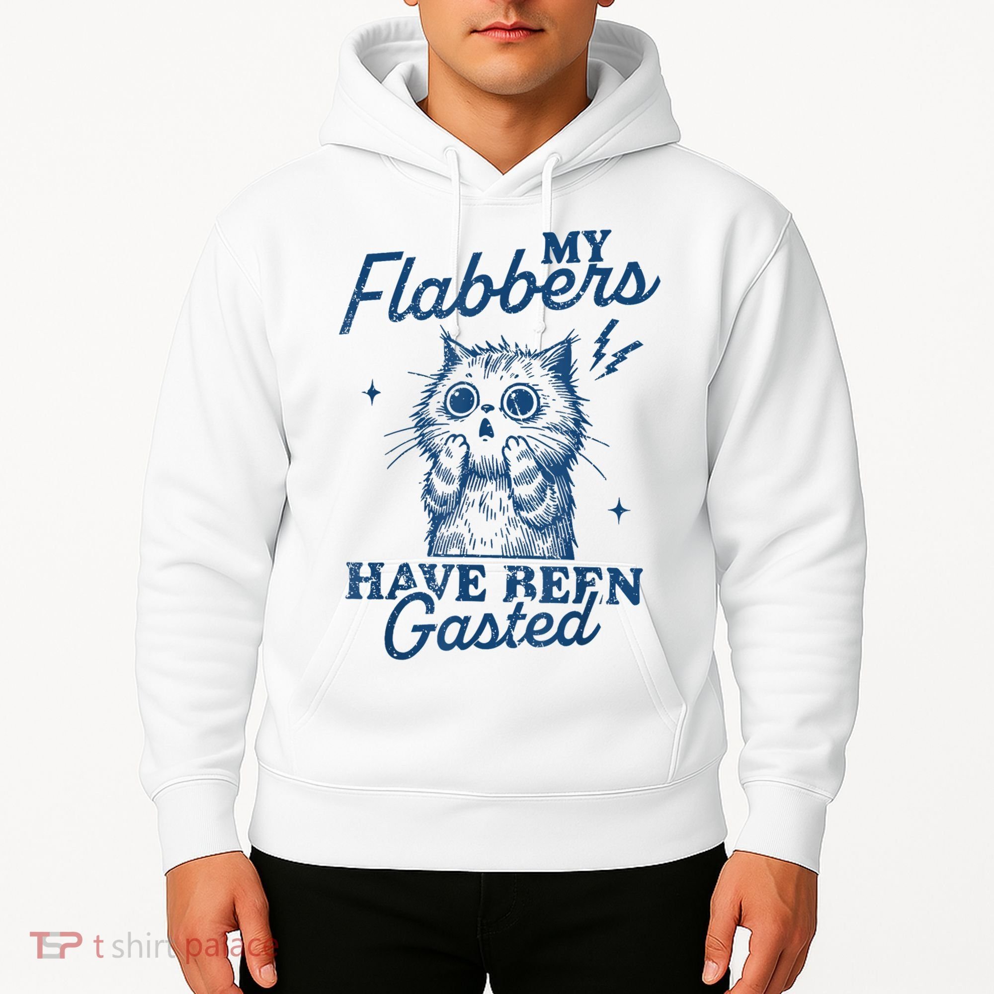 My Flabbers Have Been Gasted Distressed Retro Funny Cat Hoodie