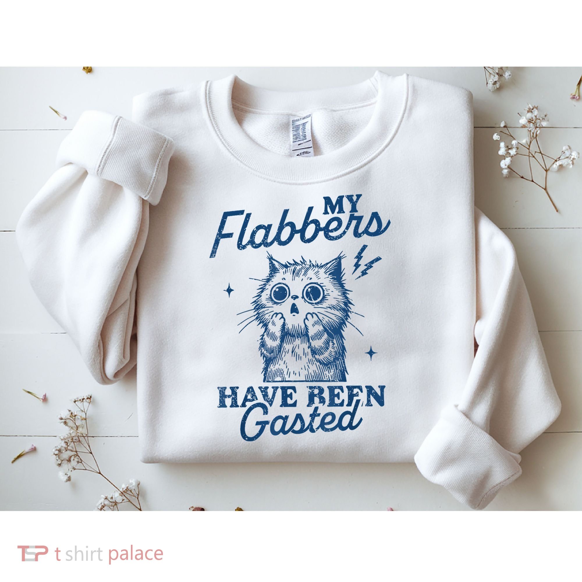 My Flabbers Have Been Gasted Distressed Retro Funny Cat Sweatshirt