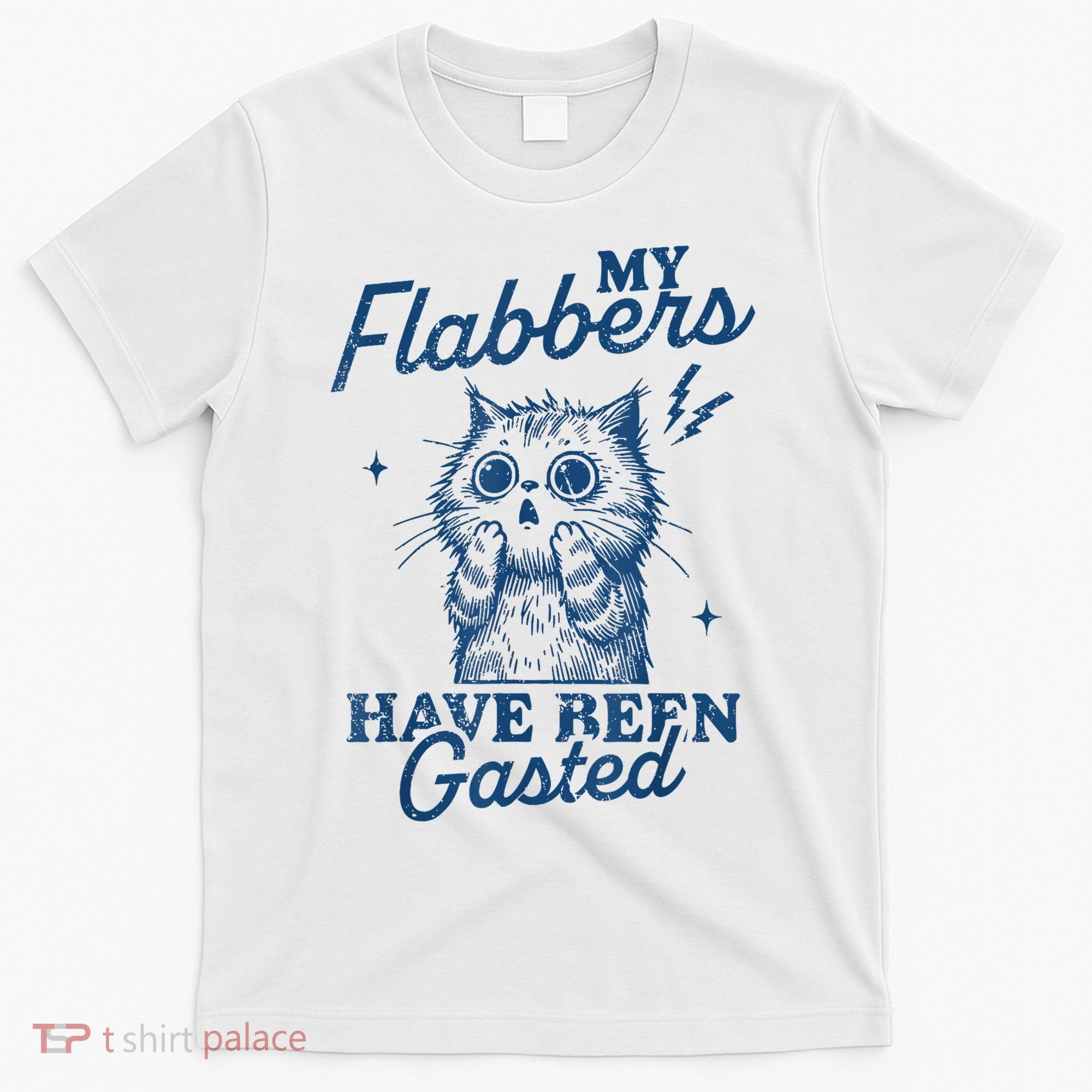 My Flabbers Have Been Gasted Distressed Retro Funny Cat T-Shirt