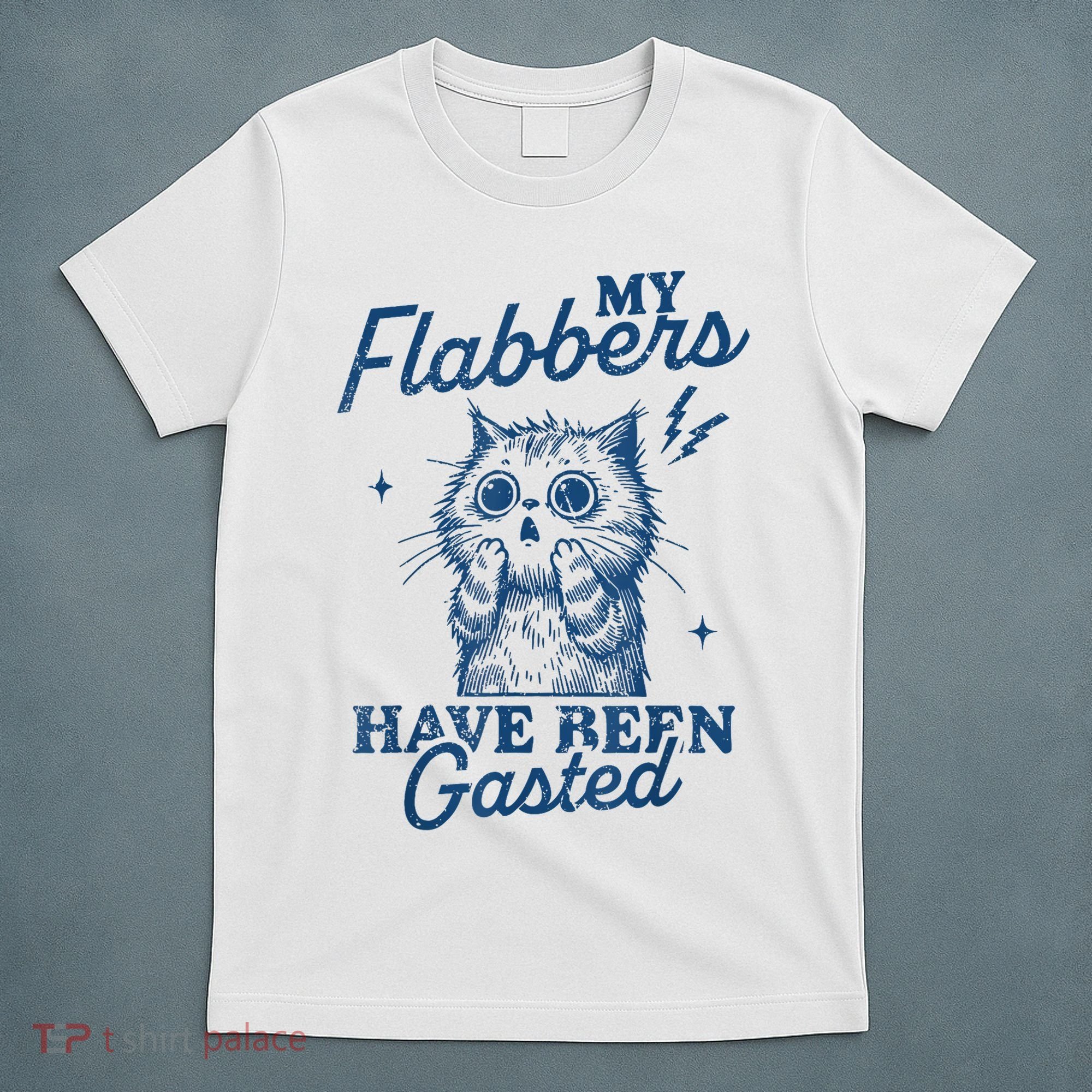 My Flabbers Have Been Gasted Distressed Retro Funny Cat T-Shirt