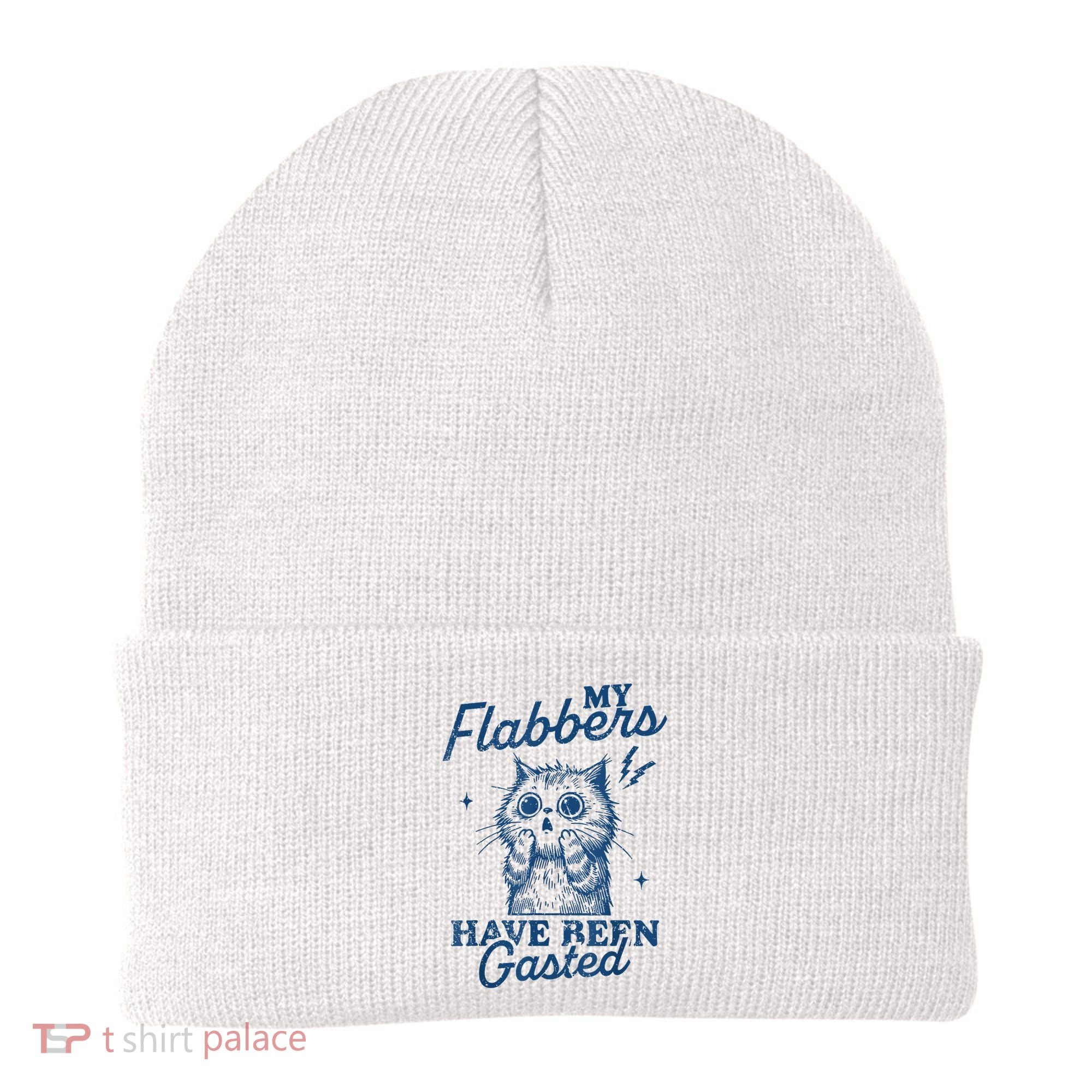 My Flabbers Have Been Gasted Distressed Retro Funny Cat Beanie