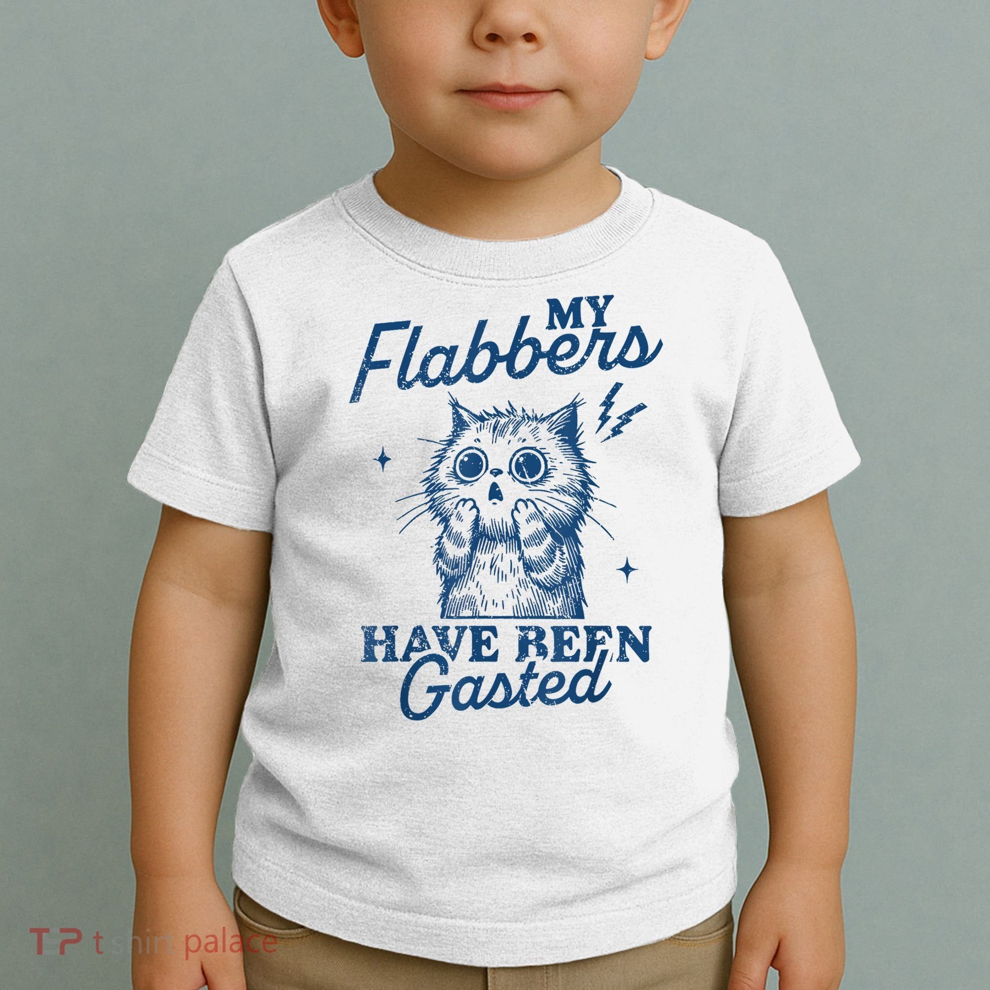 My Flabbers Have Been Gasted Distressed Retro Funny Cat Toddler T-Shirt