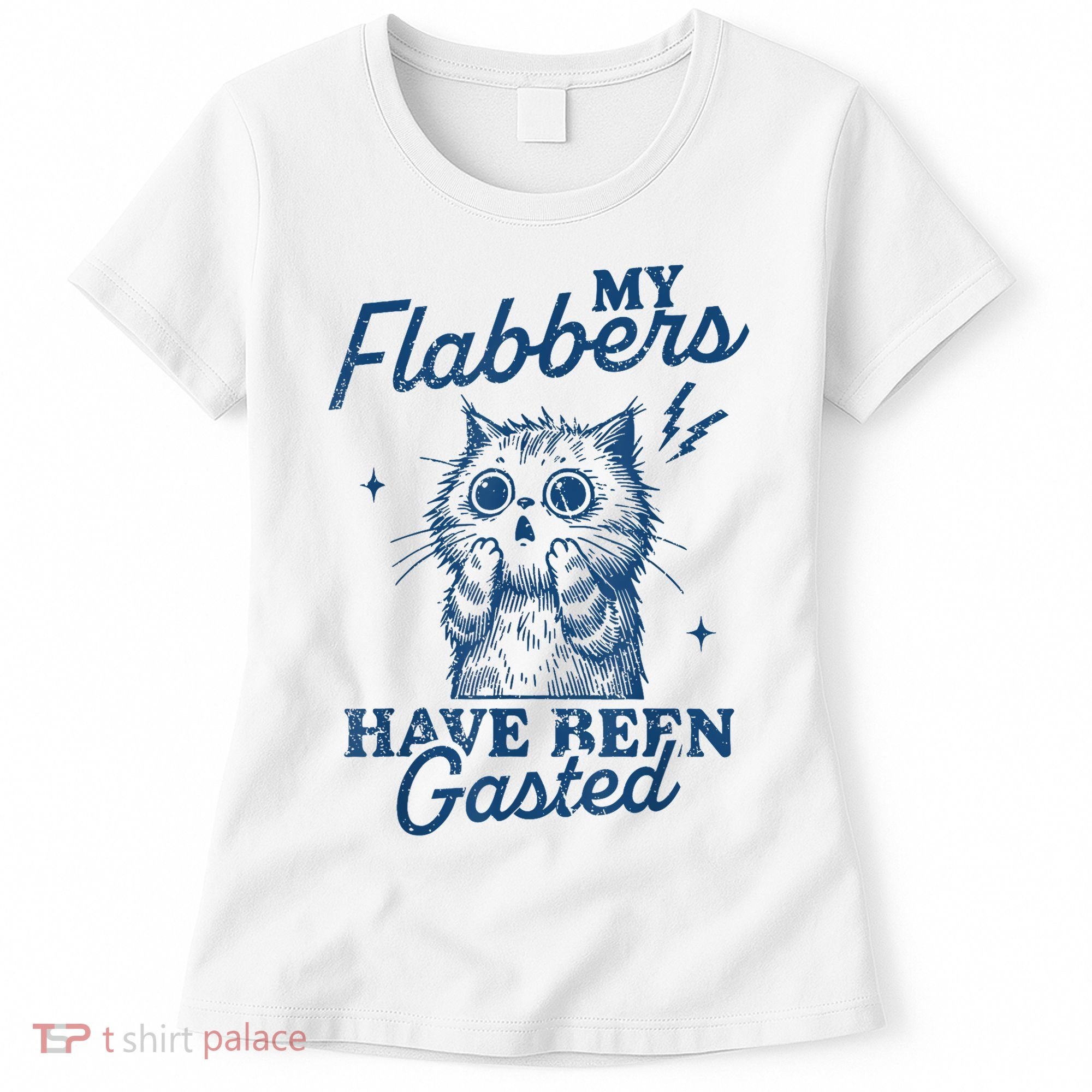 My Flabbers Have Been Gasted Distressed Retro Funny Cat Women's T-Shirt
