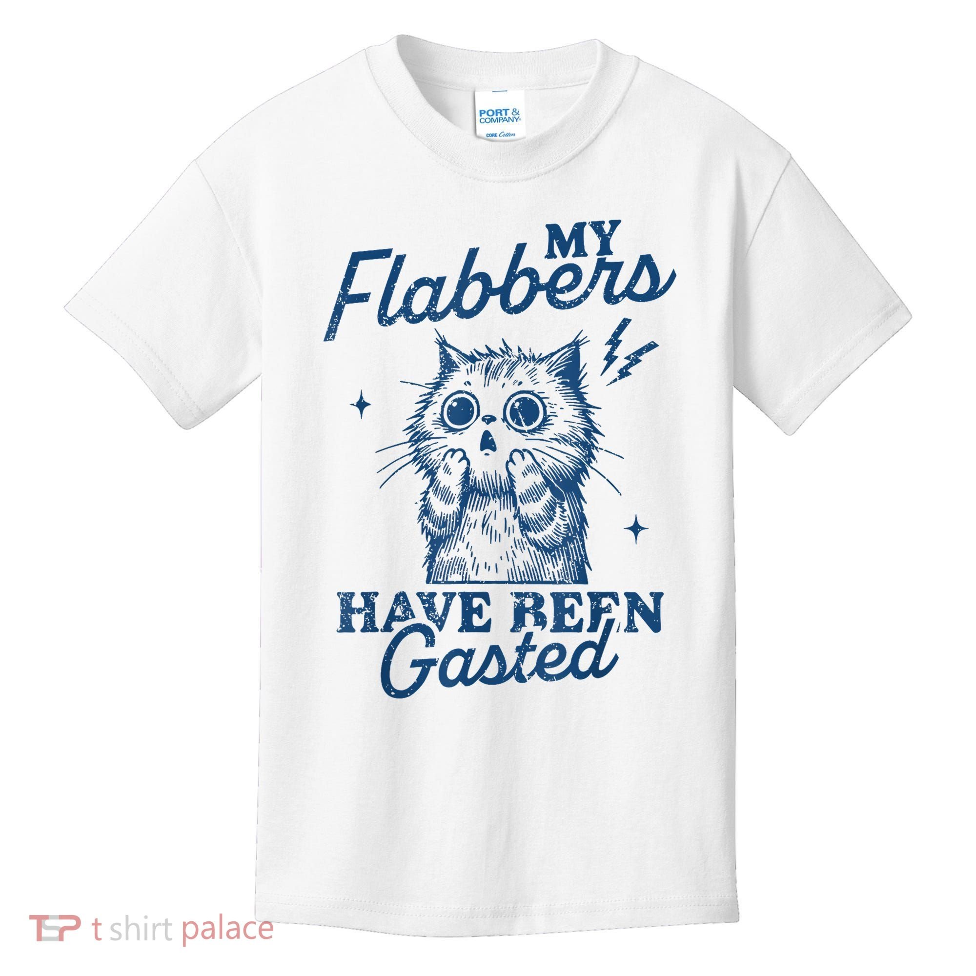 My Flabbers Have Been Gasted Distressed Retro Funny Cat Kids T-Shirt