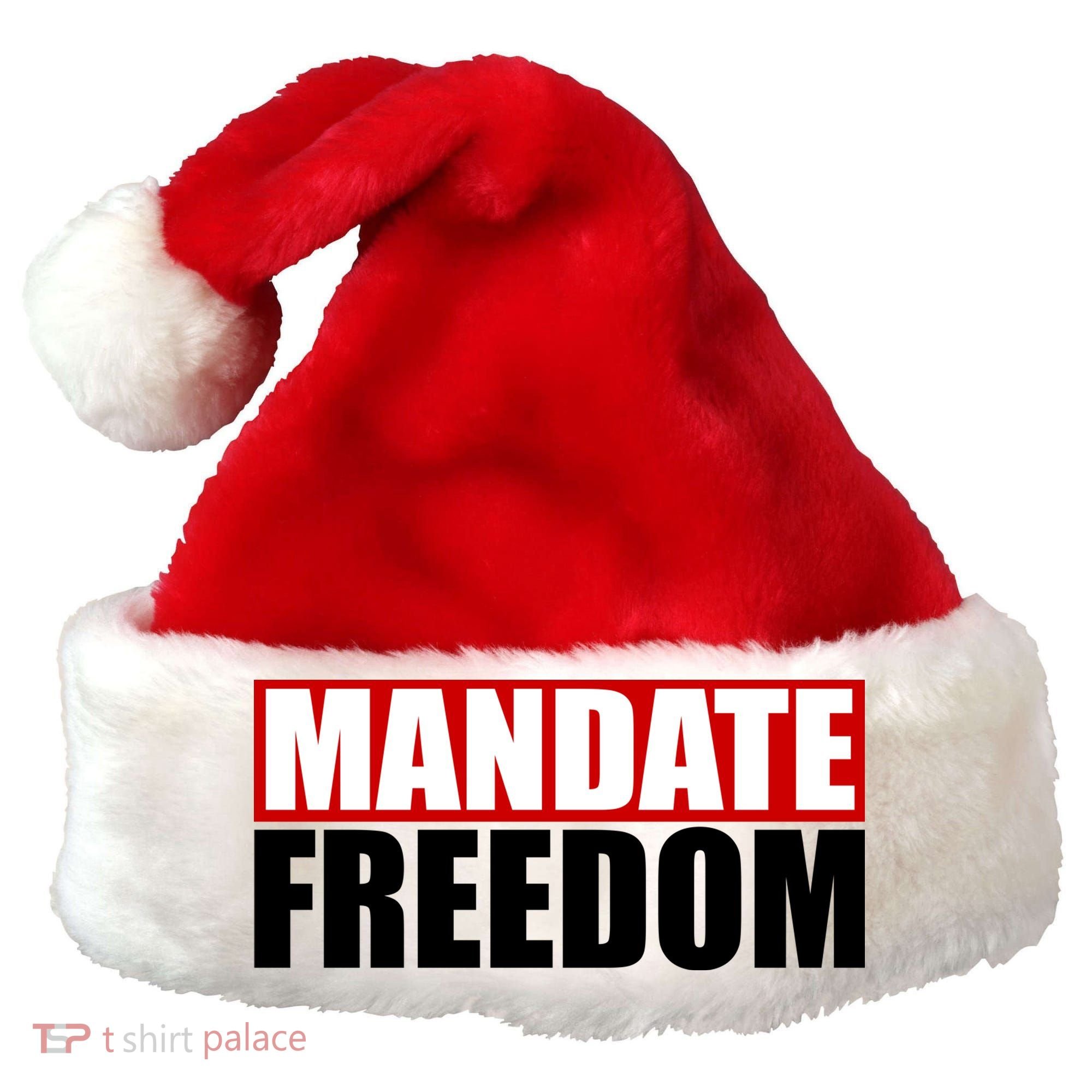 Mandate Freedom Santa Hat