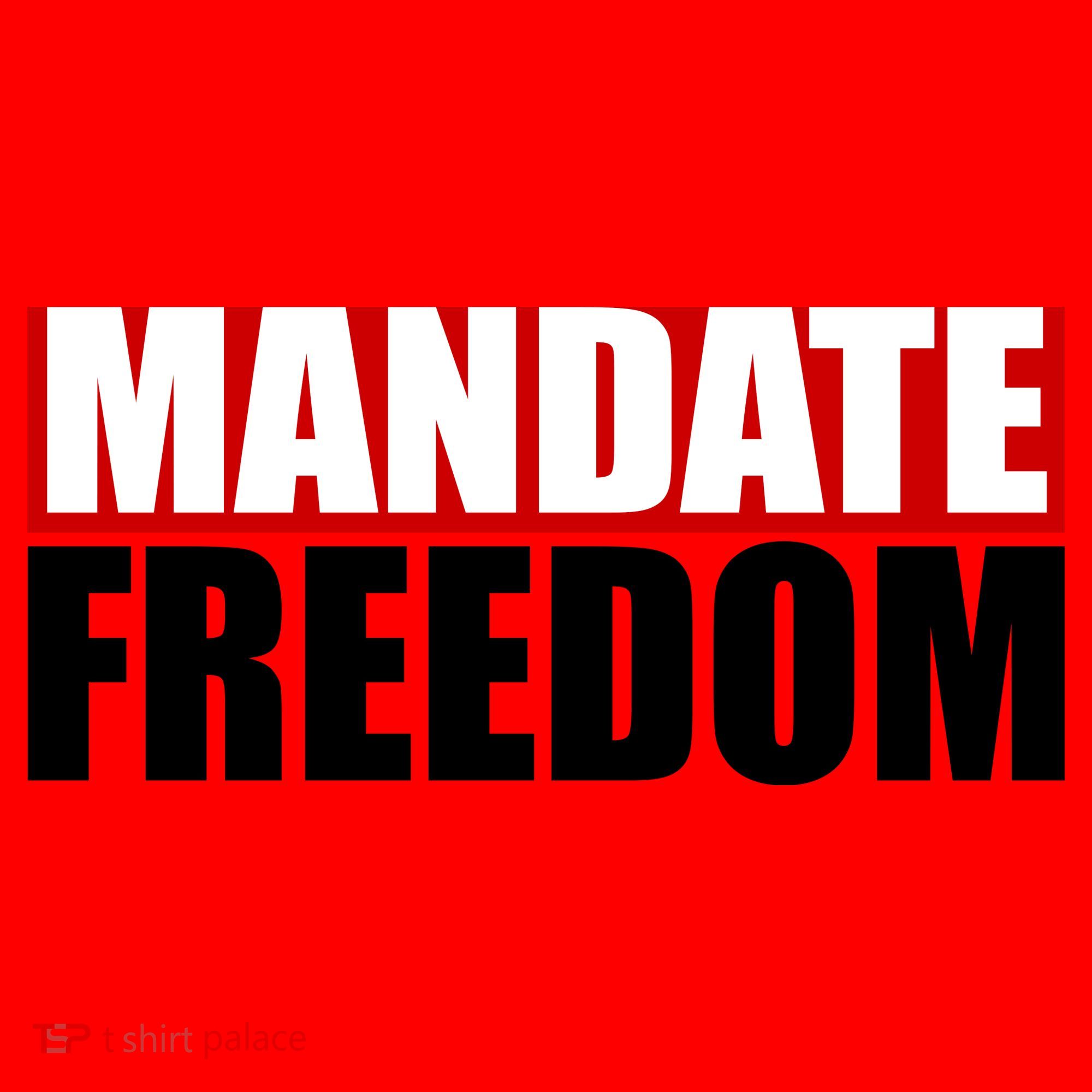 Mandate Freedom Santa Hat