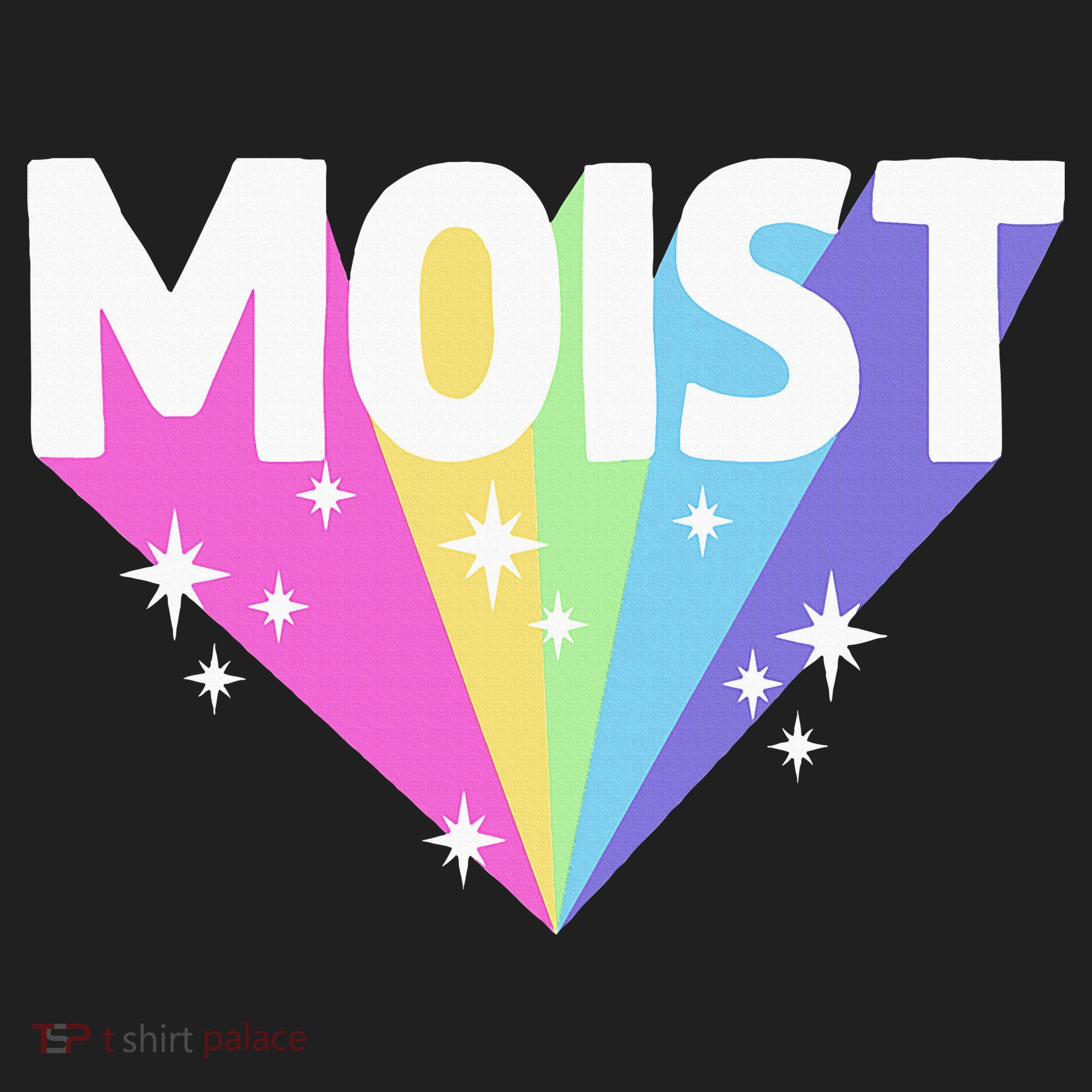 Moist Funny Meme Offensive Weird Cool Beanie