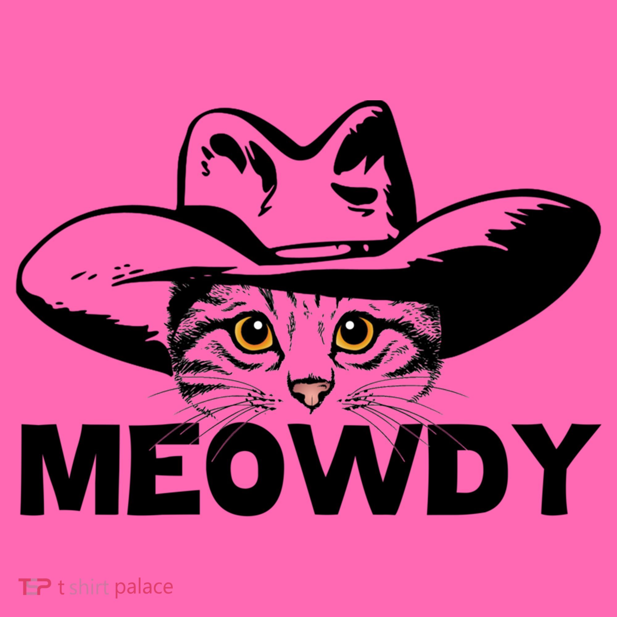 Meowdy Funny Mashup Between Meow And Howdy Cat Meme Great Gift Stripe Pom Pom Beanie