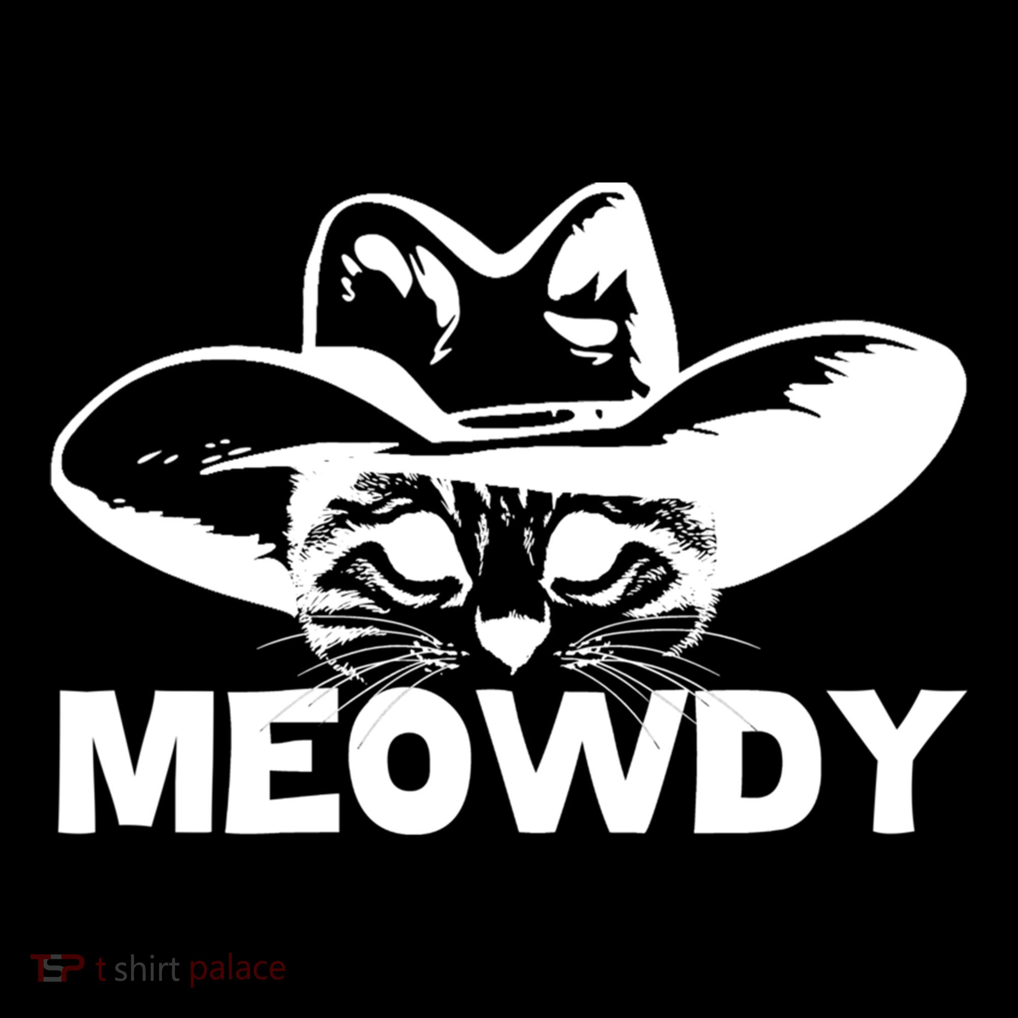 Meowdy Funny Mashup Between Meow And Howdy Cat Meme Cool Gift Women's Hoodie