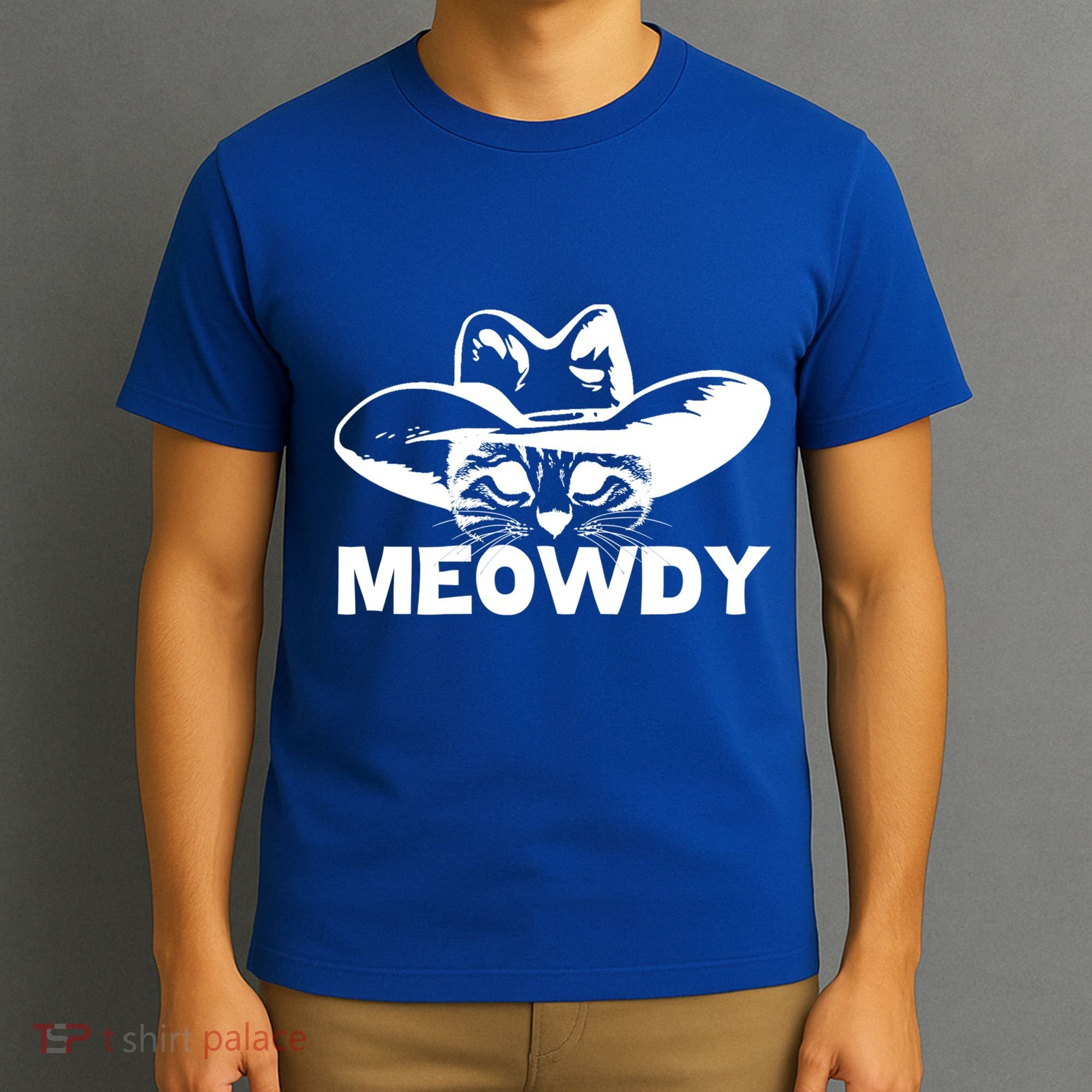 Meowdy Funny Mashup Between Meow And Howdy Cat Meme Cool Gift T-Shirt