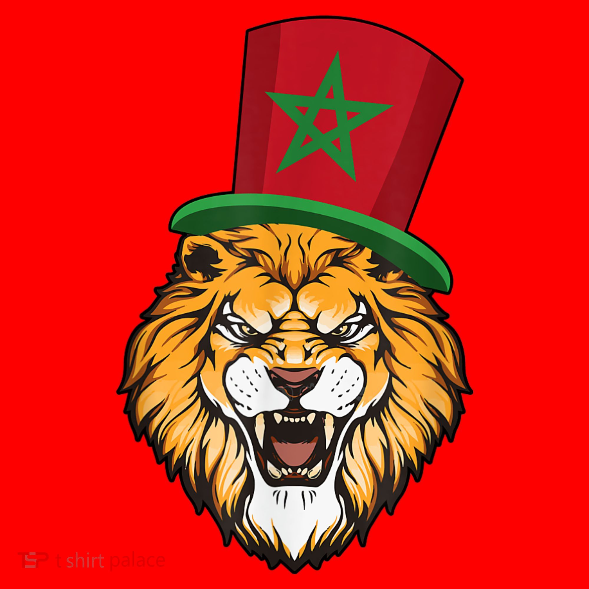 Morocco Flag Moroccan Soccer Supporter For Men Women Santa Hat
