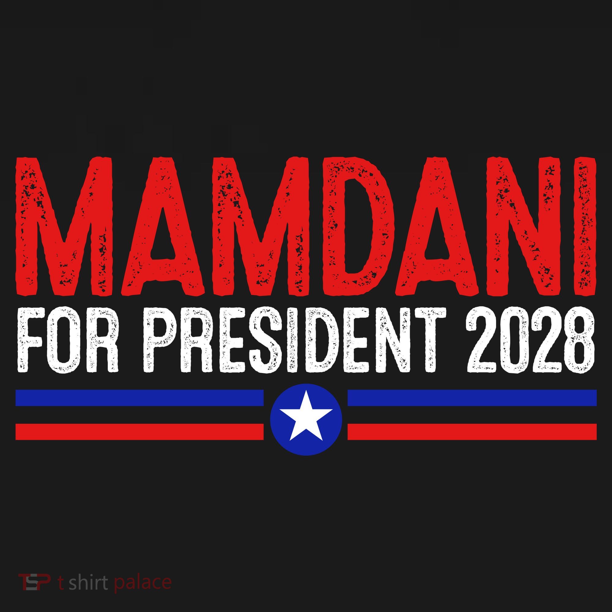 Mamdani For President 2028 Election Backpack