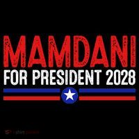 Mamdani For President 2028 Election Toddler Hoodie thumb 2
