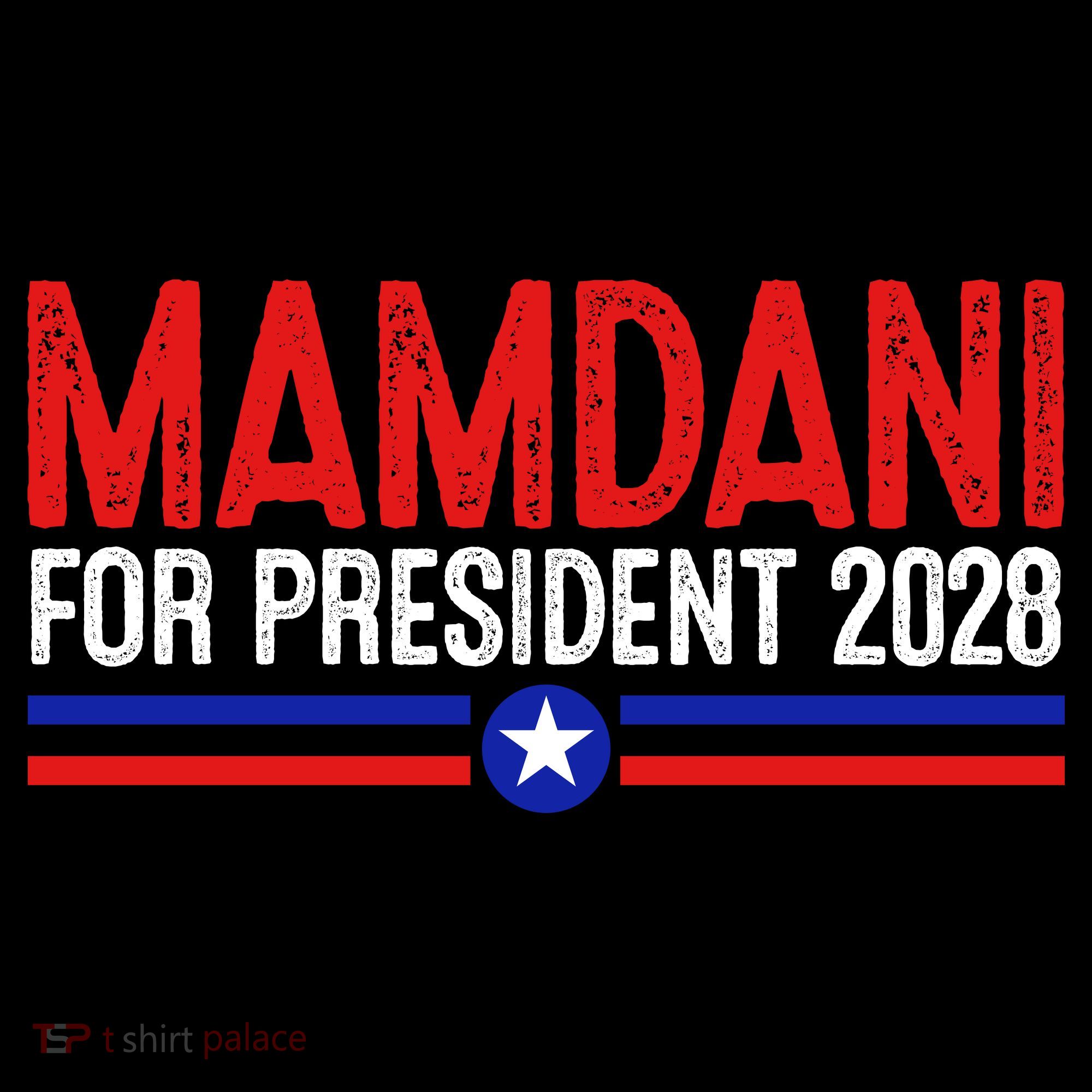 Mamdani For President 2028 Election Toddler Hoodie