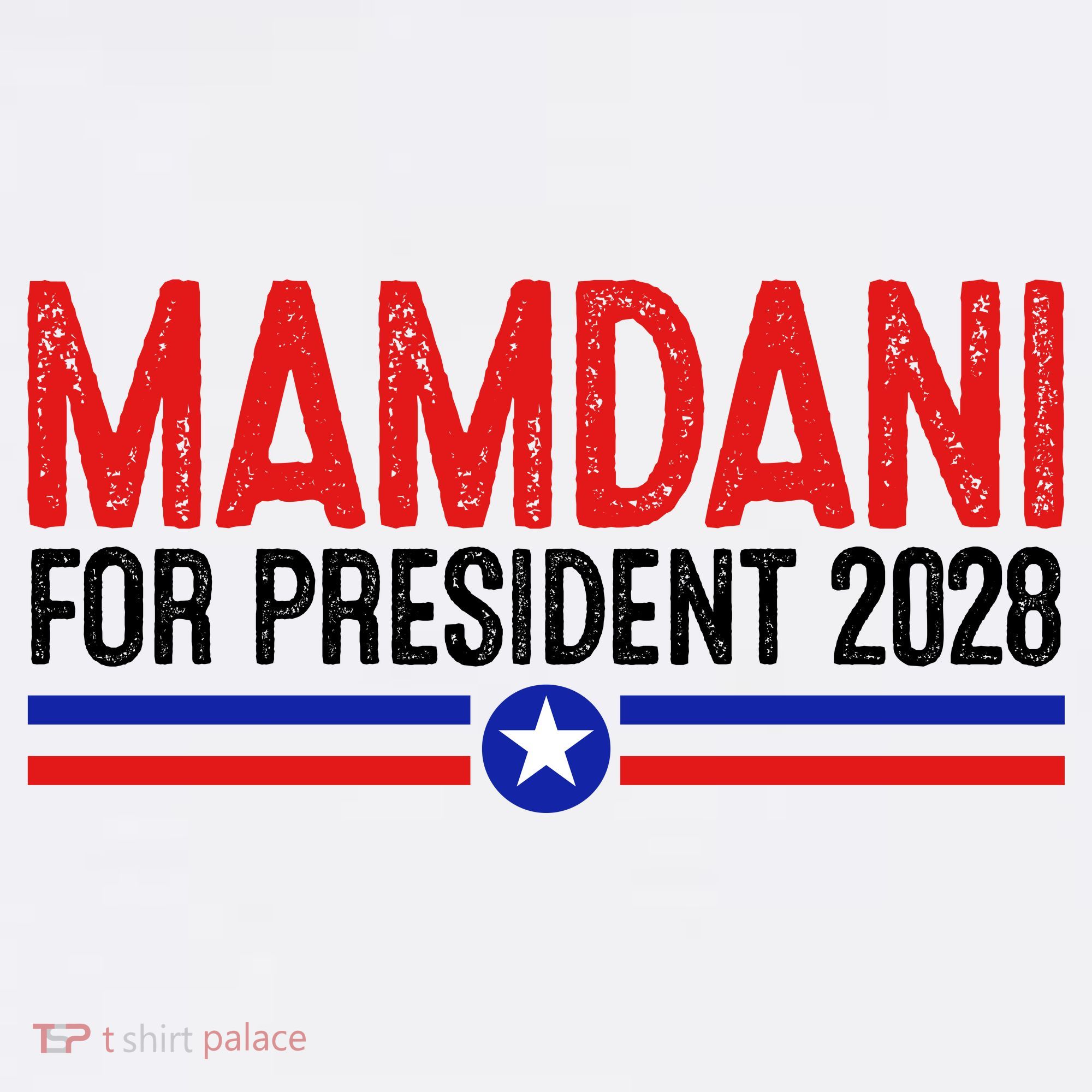Mamdani For President 2028 Election Beanie
