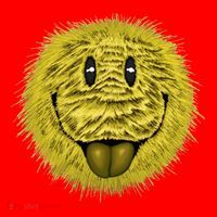 Ma Fur Smiley Pet Santa Hat thumb 1