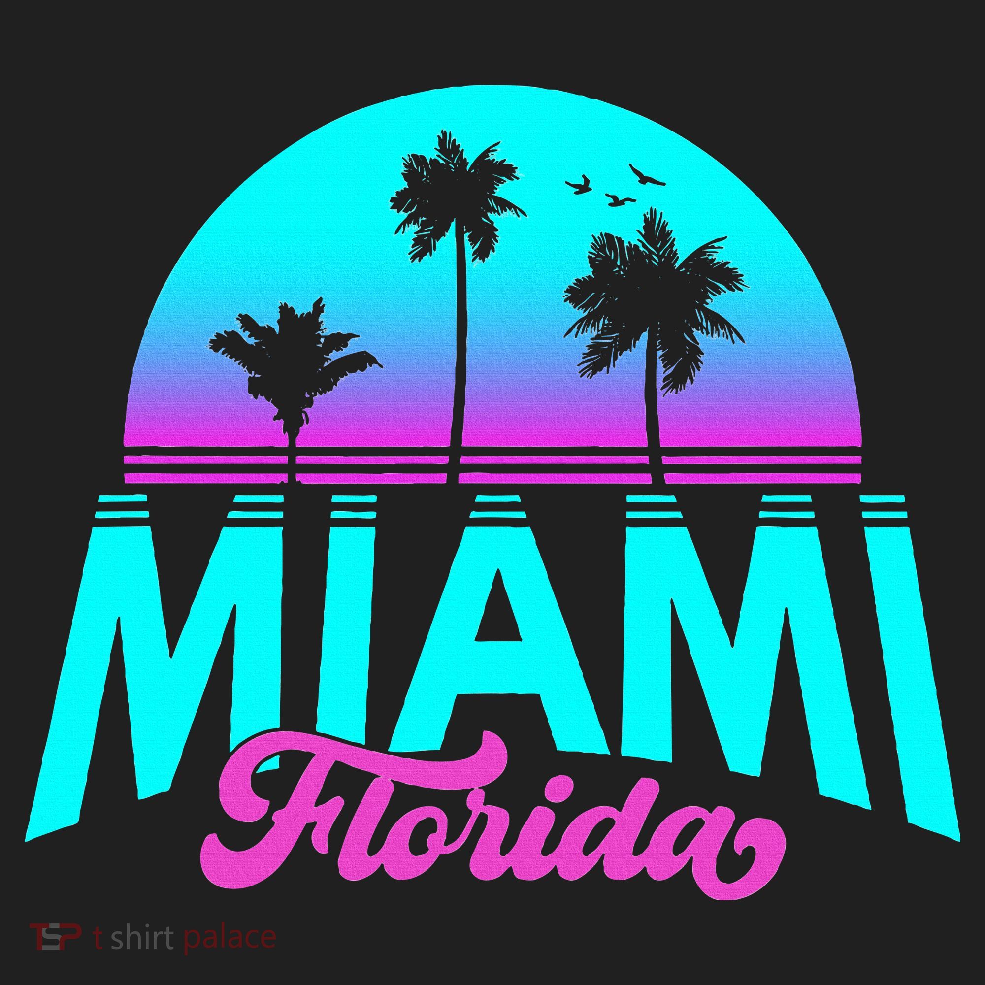 Miami Florida Sunset Hat