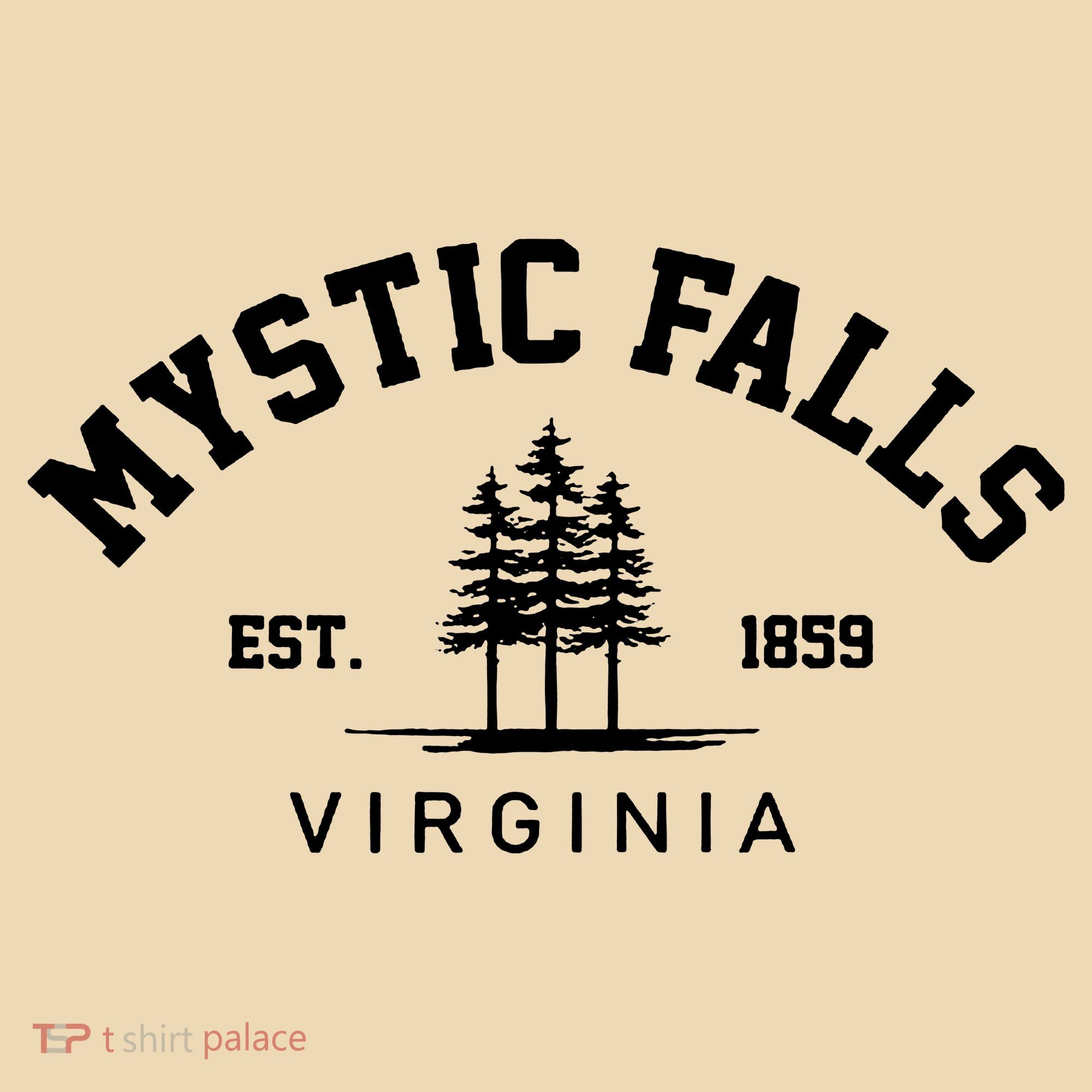 Mystic Falls Virginia Salvatore Stefan Damon Vampire Fan Gift Tote Bag