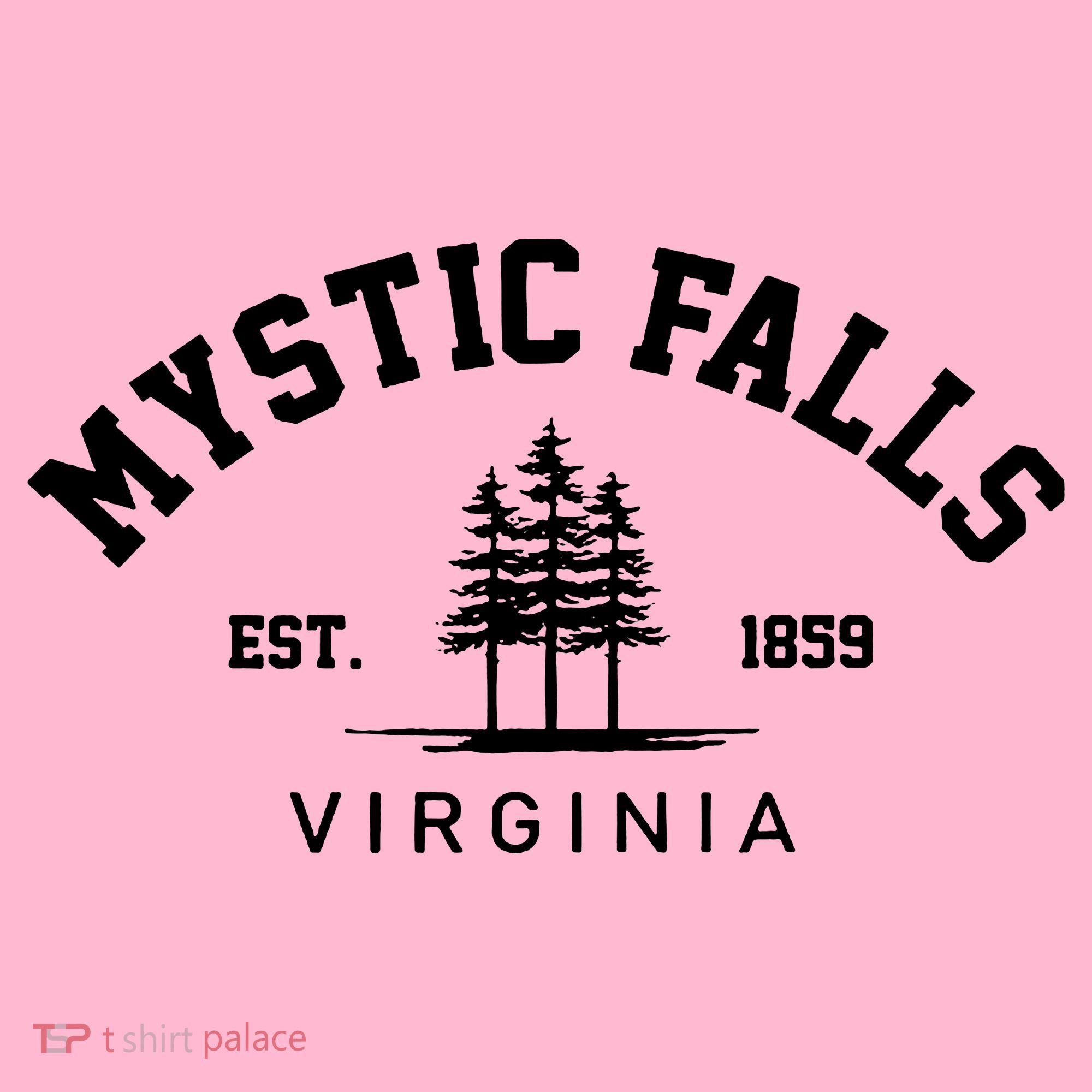 Mystic Falls Virginia Salvatore Stefan Damon Vampire Fan Gift Coaster
