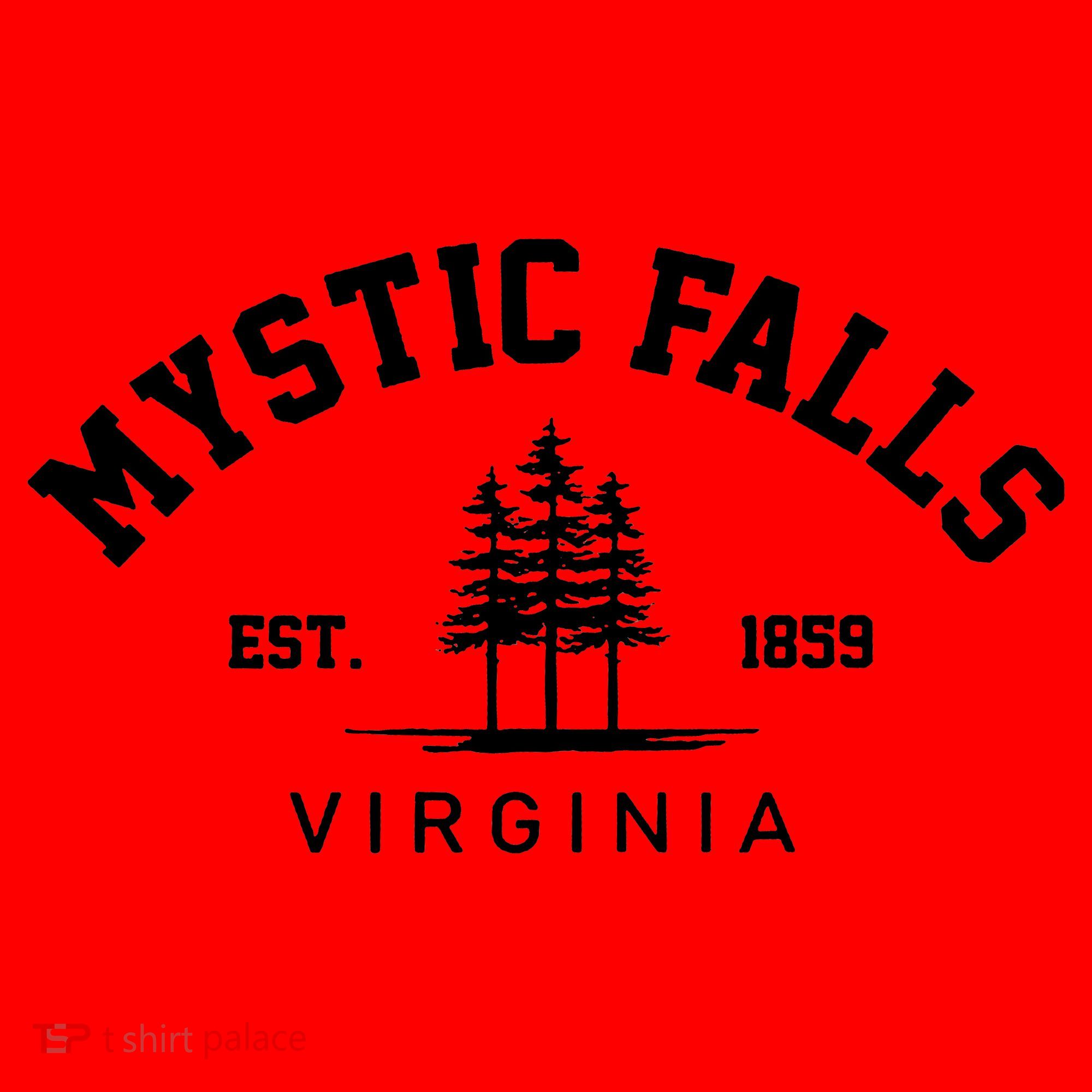 Mystic Falls Virginia Salvatore Stefan Damon Vampire Fan Gift Santa Hat
