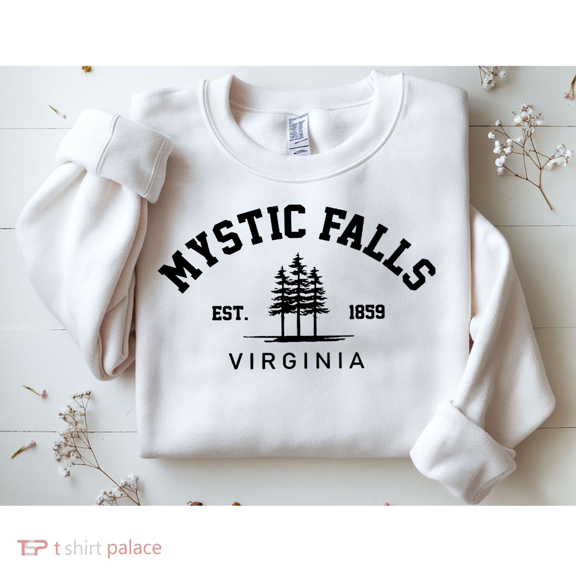 Mystic Falls Virginia Salvatore Stefan Damon Vampire Fan Gift Sweatshirt