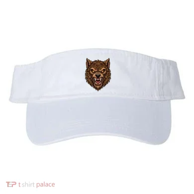 Visor