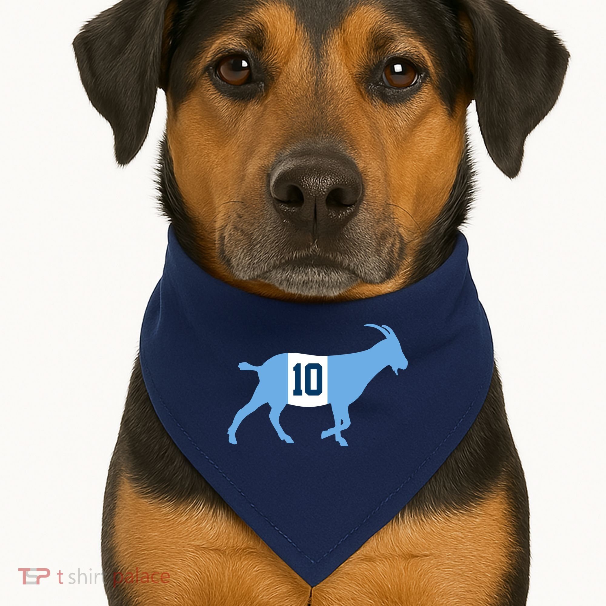 Messi Goat #10 Argentina Soccer USA-Made Doggie Bandana