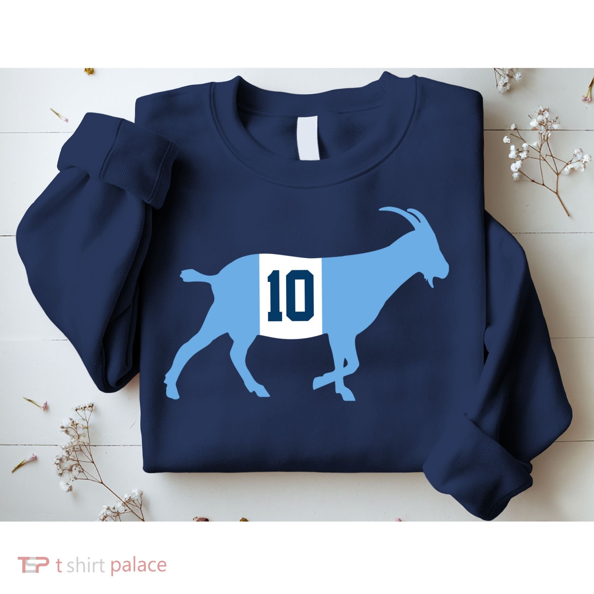 Messi Goat #10 Argentina Soccer Sweatshirt
