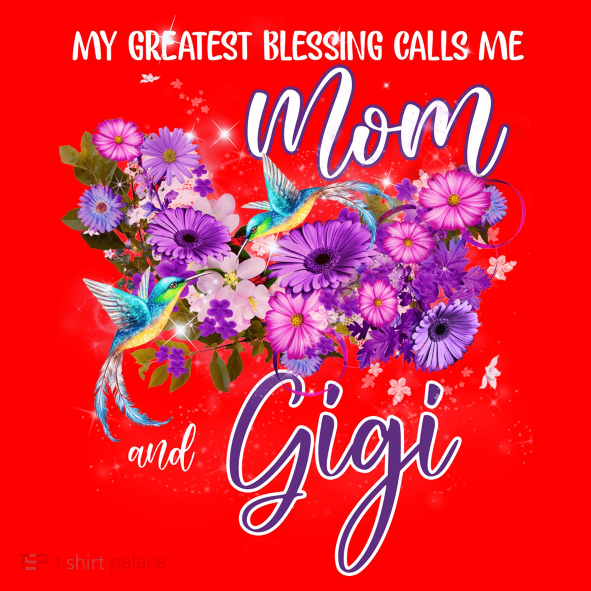 My Greatest Blessing Calls Me Mom And Gigi Hummingbirds Gift Santa Hat