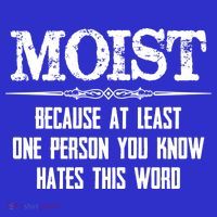 Moist Gift Because One Person You Know Hates This Word Gift Funny Funny Gift Women's Tank Top thumb 5