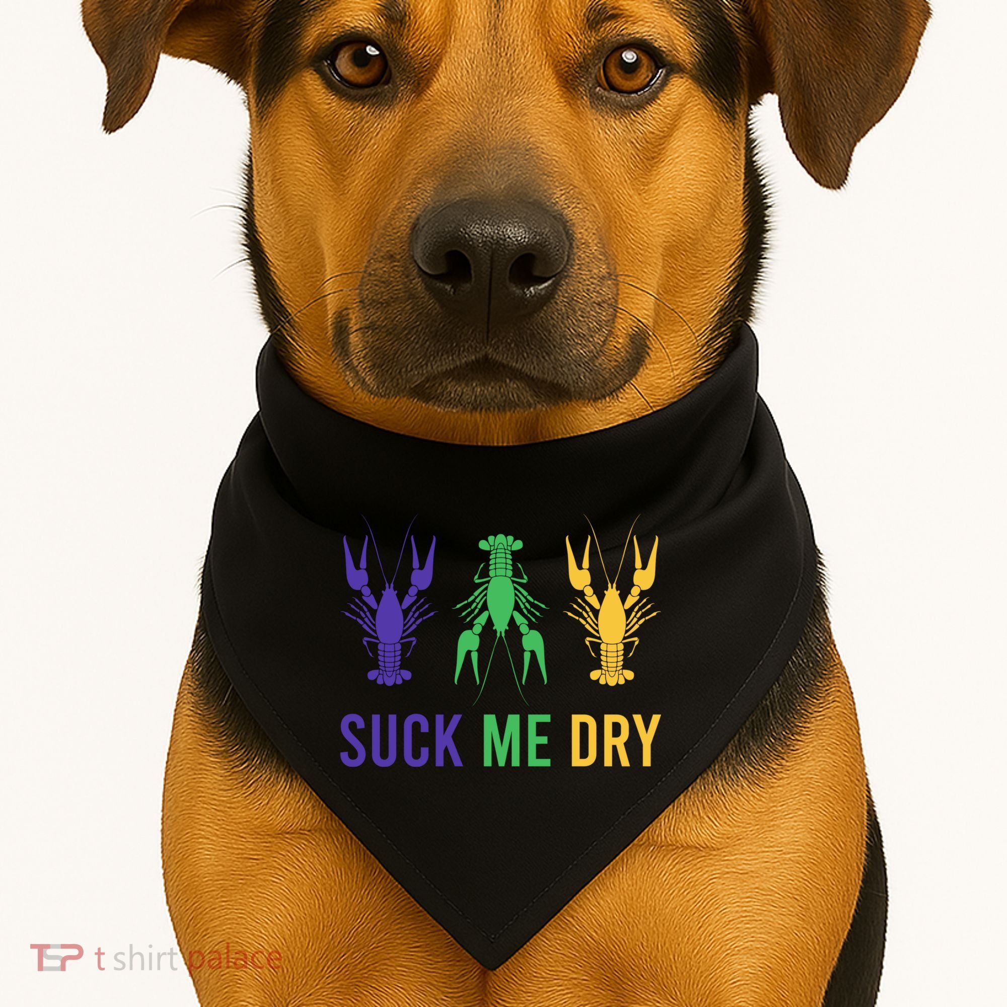 Mardi Gras Funny Suck Me Dry Crawfish Carnival Party USA-Made Doggie Bandana