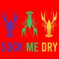 Mardi Gras Funny Suck Me Dry Crawfish Carnival Party Santa Hat thumb 1