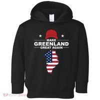 Make Greenland Great Again American Flag Trump Toddler Hoodie thumb 0