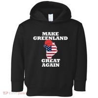 Make Greenland Great Again American Flag Toddler Hoodie thumb 0