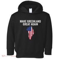 Make Greenland Great Again Trump Meme Gift Toddler Hoodie thumb 0