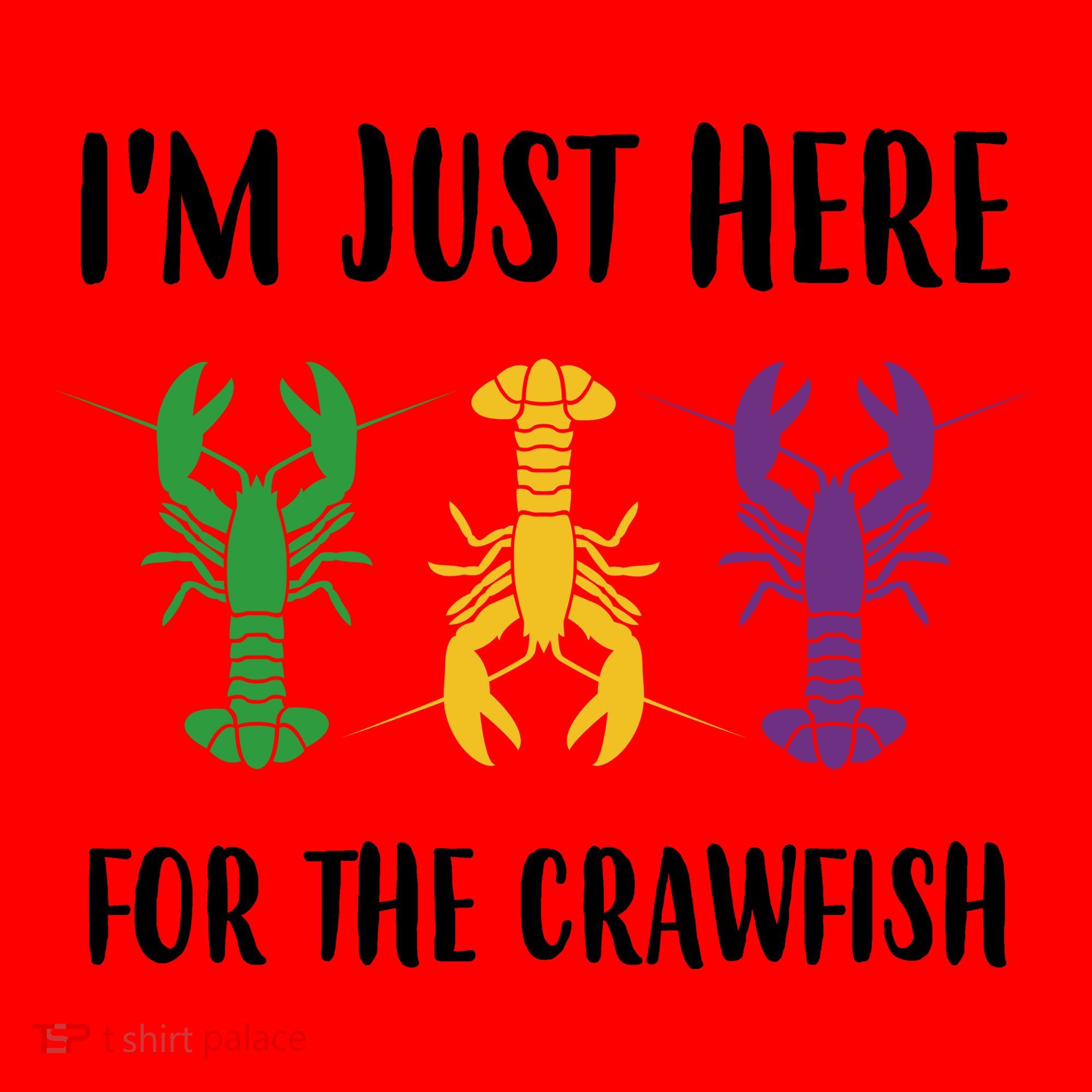 Mardi Gras Im Just Here For The Crawfish Santa Hat