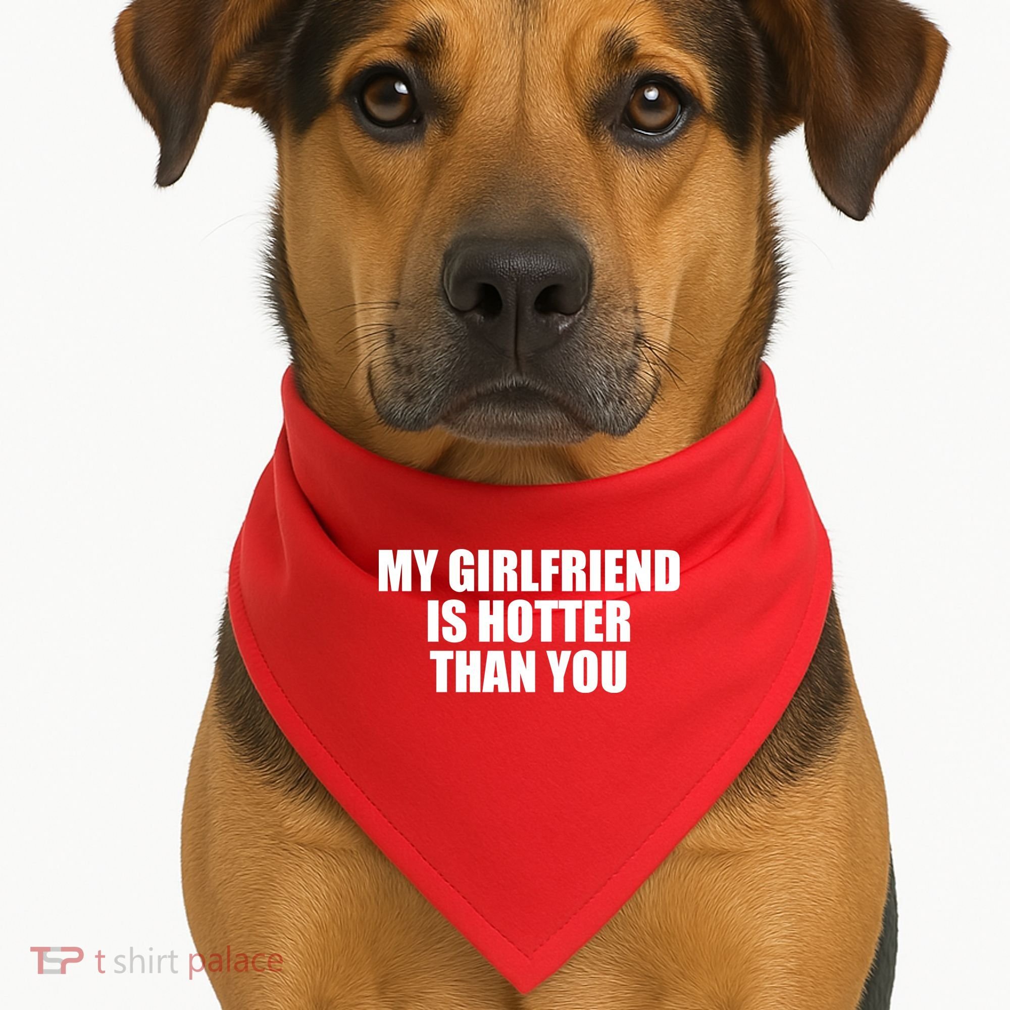 My Girlfriend Is Hotter Than You USA-Made Doggie Bandana