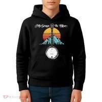 My Grass Is Blue Retro Rocky Mountain Banjo Bluegrass Kids Hoodie thumb 4