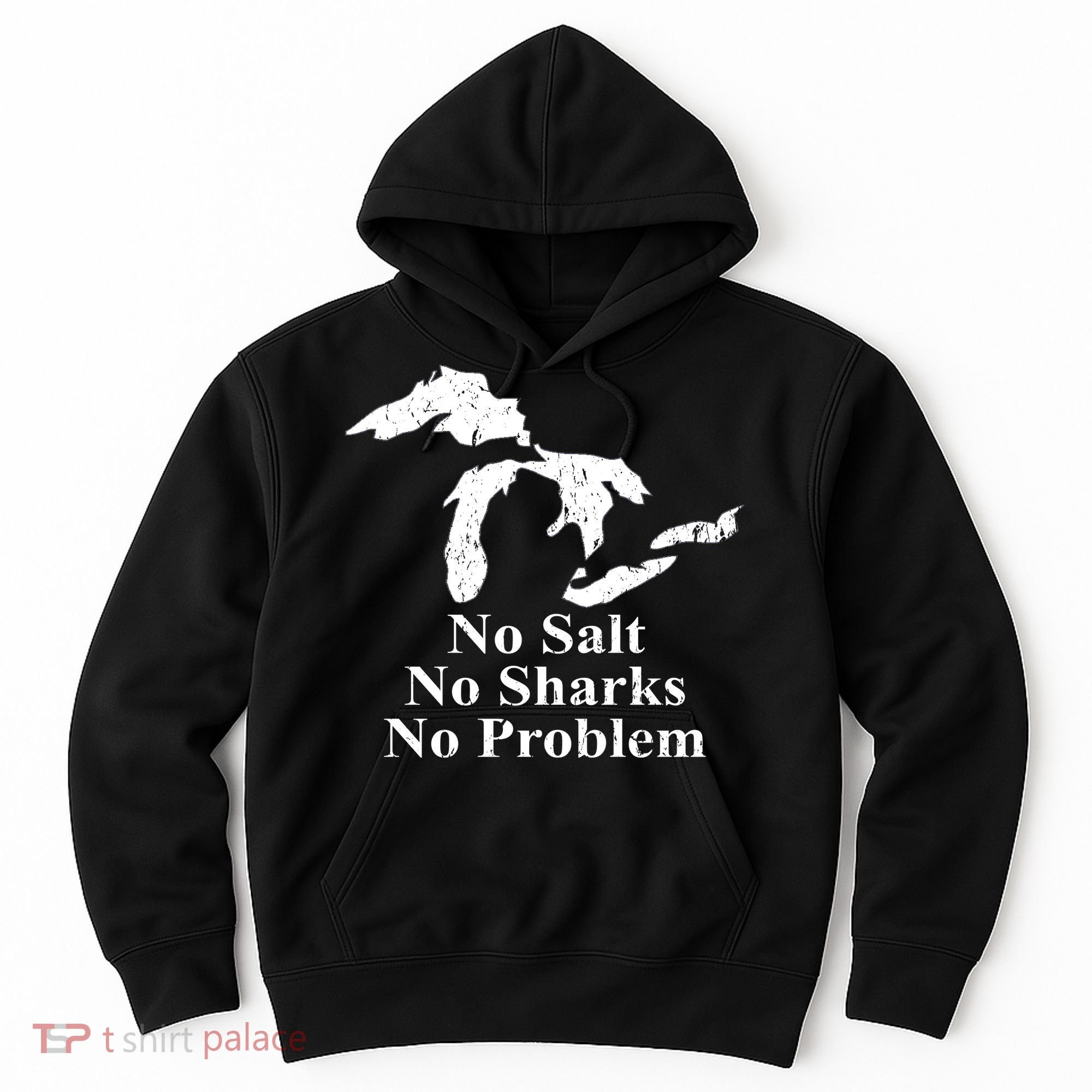 Michigan Great Lakes No Salt, No Sharks, No Problem Hoodie Hoodie