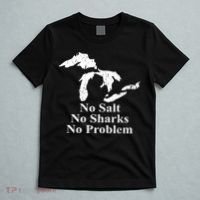 Michigan Great Lakes No Salt, No Sharks, No Problem Hoodie T-Shirt thumb 5