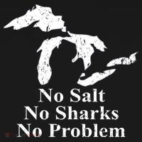 Michigan Great Lakes No Salt, No Sharks, No Problem Hoodie Women's Hoodie thumb 2