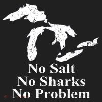 Michigan Great Lakes No Salt, No Sharks, No Problem Hoodie Hat thumb 2