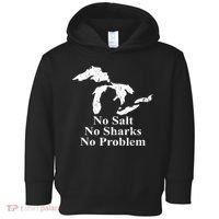 Michigan Great Lakes No Salt, No Sharks, No Problem Hoodie Toddler Hoodie thumb 0
