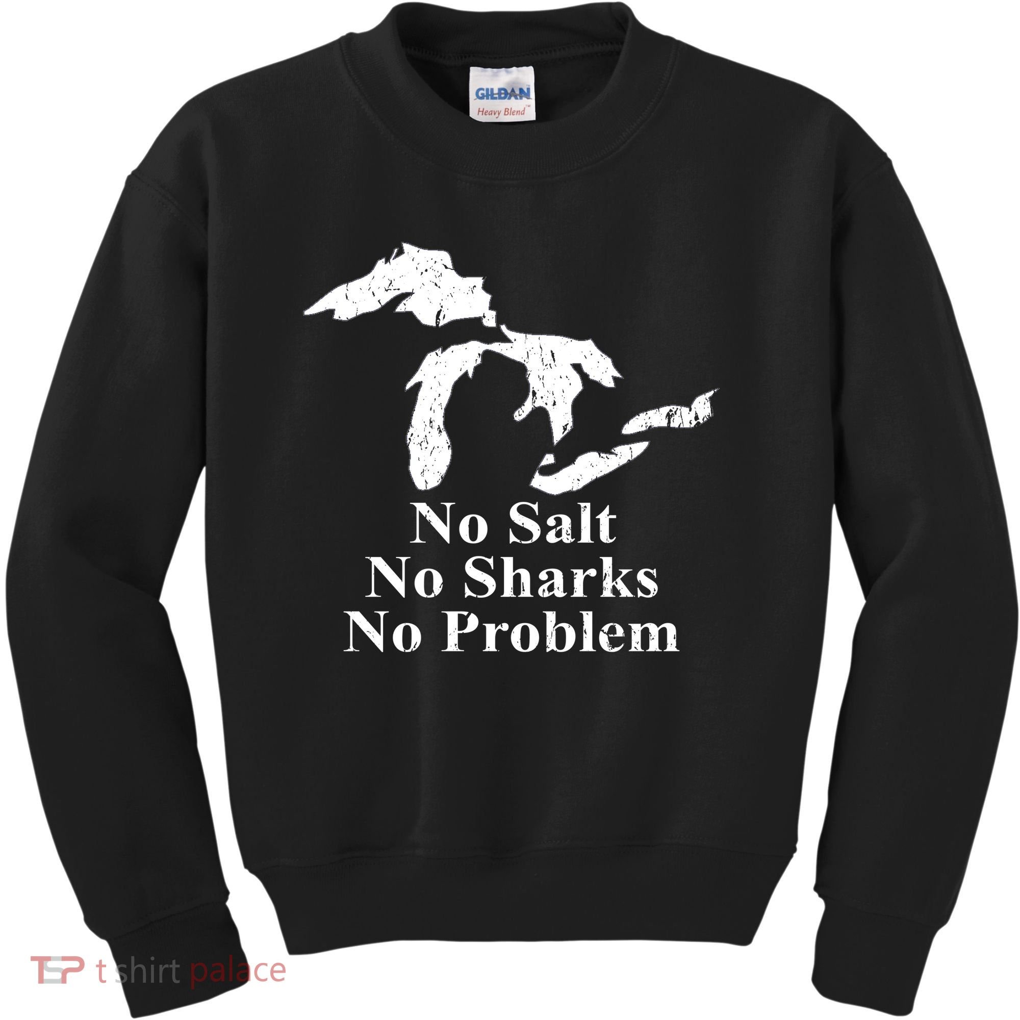 Michigan Great Lakes No Salt, No Sharks, No Problem Hoodie Kids Sweatshirt