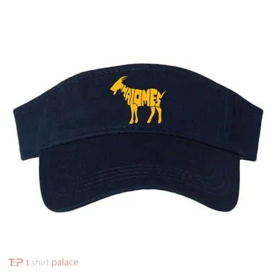 Visor