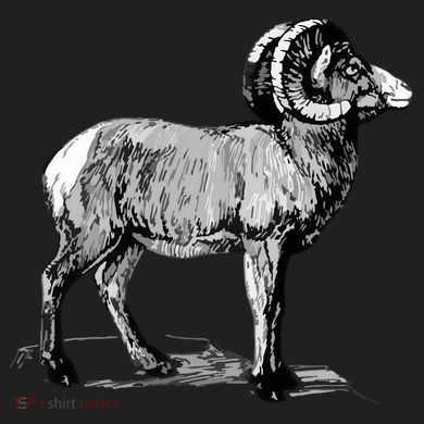 Mountain Goat Mountain Sheep Comfort Colors Boxy T-Shirt