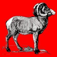 Mountain Goat Mountain Sheep Santa Hat thumb 1