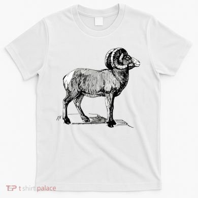 Mountain Goat Mountain Sheep T-Shirt